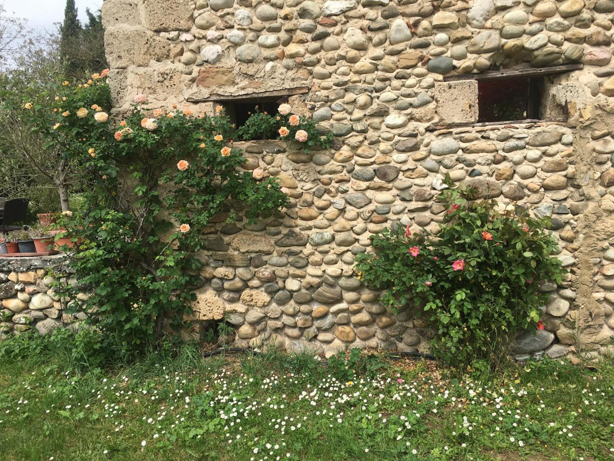 Vercors En Vert , Chambres D'Hotes De Charme Saint-Romans  외부 사진