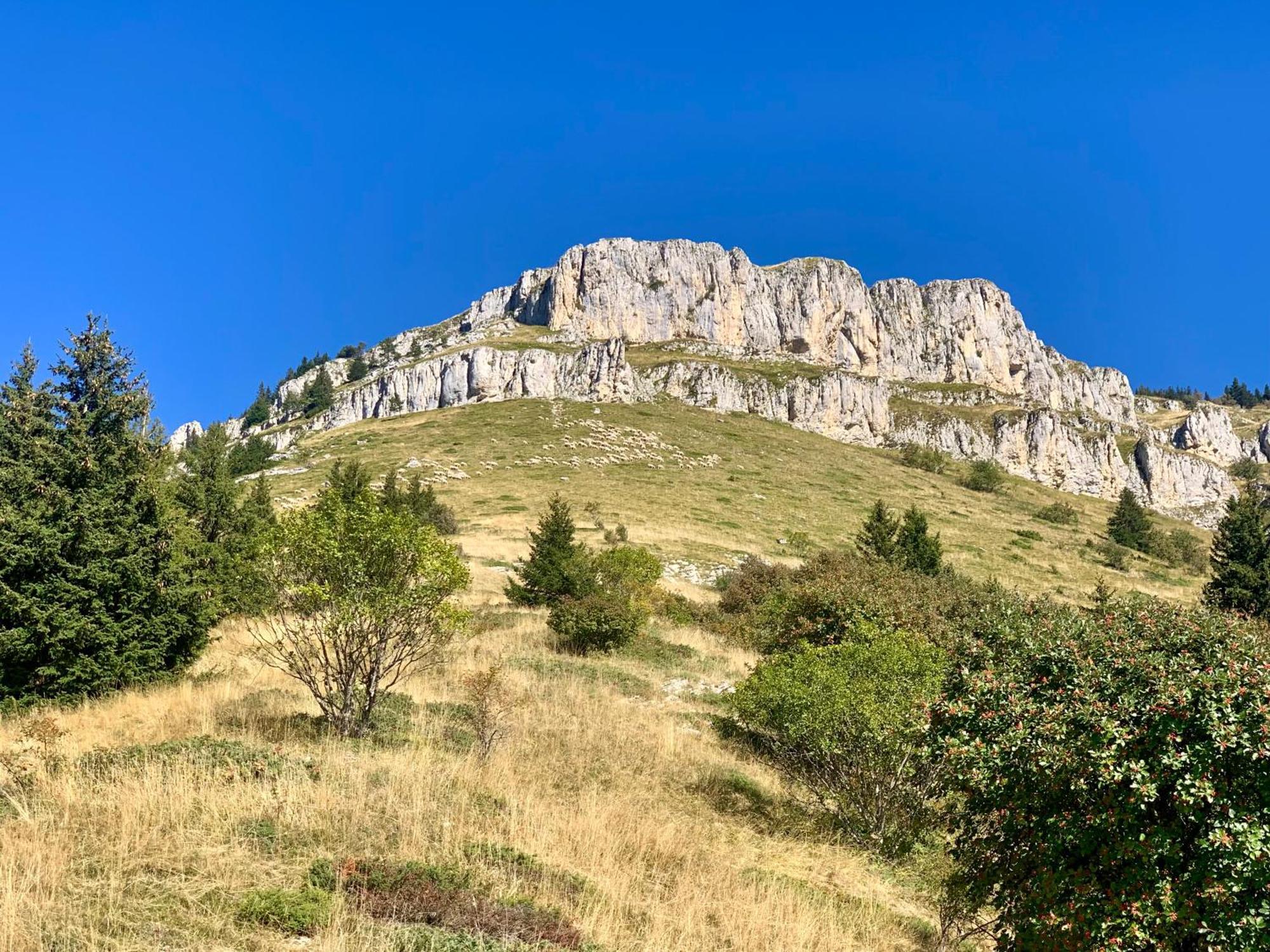 Vercors En Vert , Chambres D'Hotes De Charme Saint-Romans  외부 사진